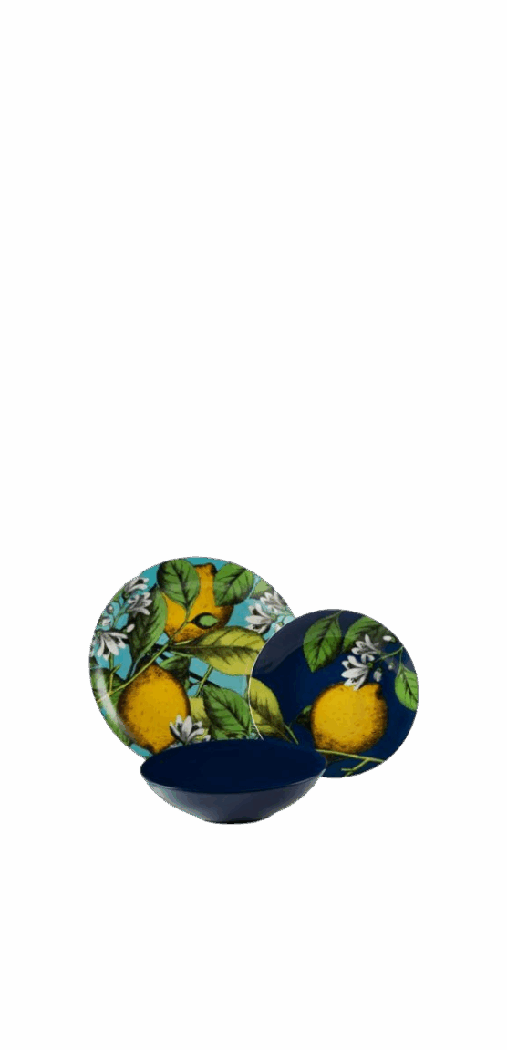 Mobila Bucatarie Cluj Farfurii si Vesela