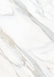 CALCATTA_ROYALE_GLOSSY