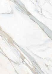 CALCATTA_ROYALE_MATT