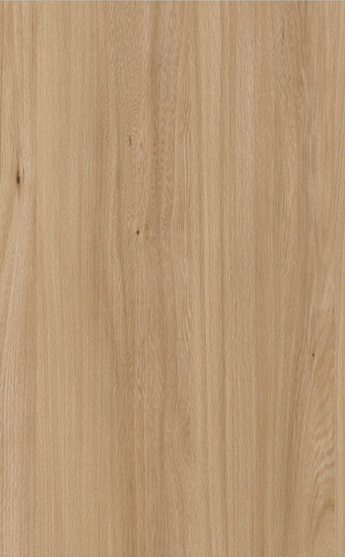 CREO_MAXIMA_rovere-biondo