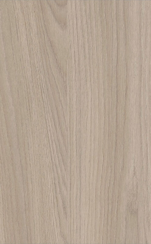 CREO_MAXIMA_rovere-trend