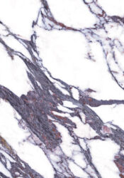 Calacatta borgogna glossy