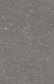 DARK_SHELL_FINITURA_LUNA