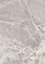 Emperador grey glossy